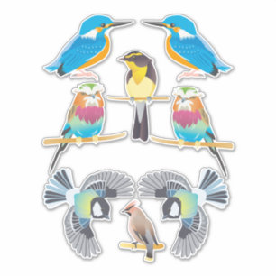 Cartoon Birds Clip art animal nature