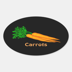 Cartoon Carrots food fun sticker