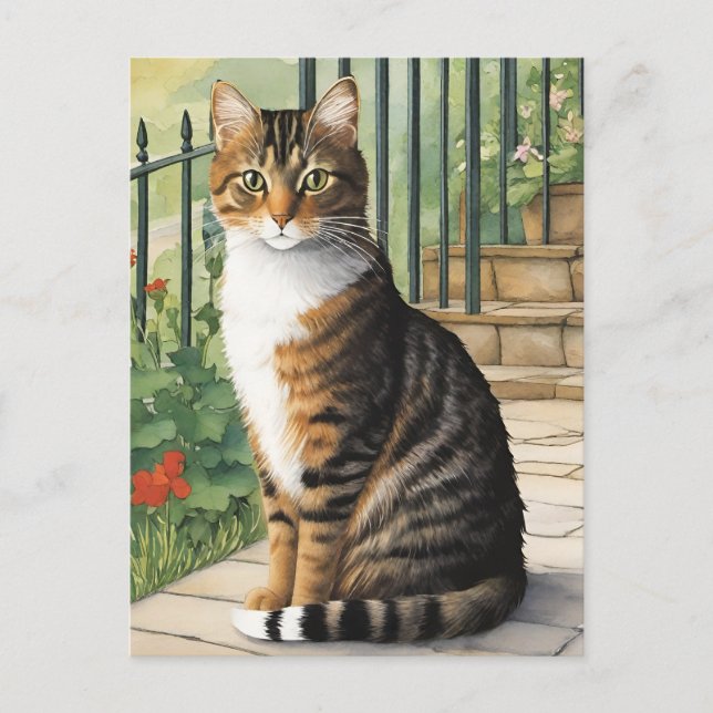 Cartoon Cat Postcard (Front)