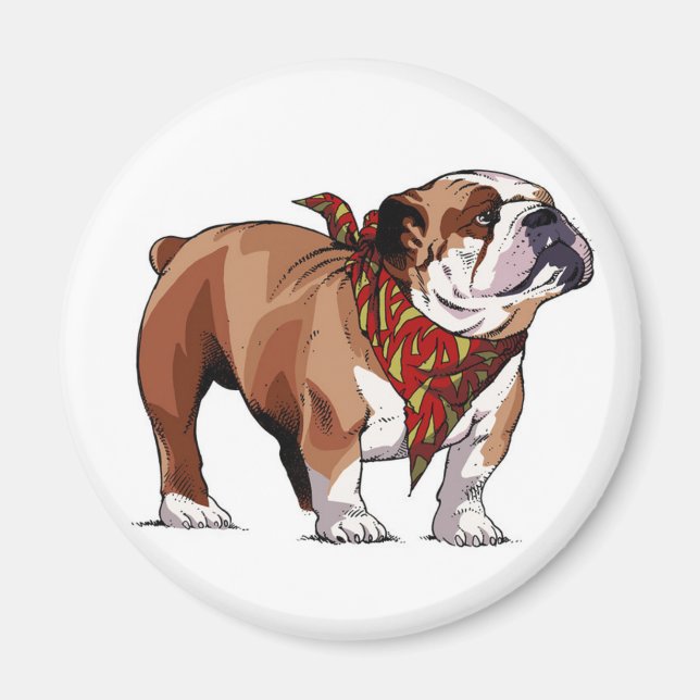 Cartoon English Bulldog Puppy Dog Magnet (Front)