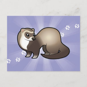 Cartoon Ferret Postcard