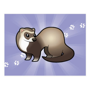 Cute Cartoon Ferret Postcards Zazzle Au