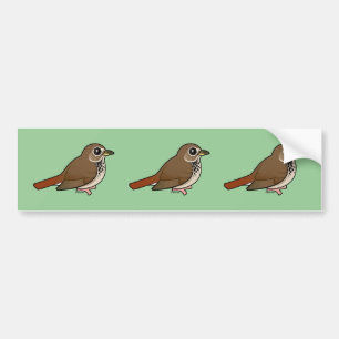 Cartoon Hermit Thrush Bumper Sticker