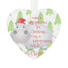 Cartoon Hippopotamus Hippo Christmas Xmas