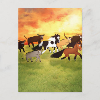 Cartoon Horses running with Bull's Postcard