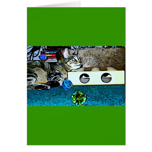 Cartoon Indigo (Front)