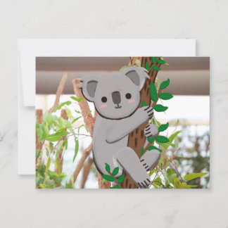 Cartoon Koala Postcard | C's Dream Design