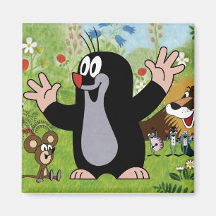 cartoon magnet