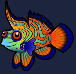 mandarin fish gifts on
