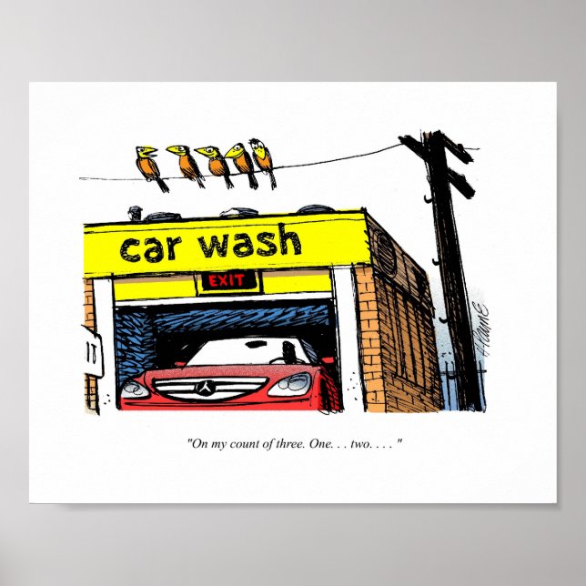 CARtoon Mercedes Car Wash Birds Poster (Front)
