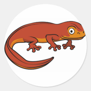 Cartoon Newt Classic Round Sticker