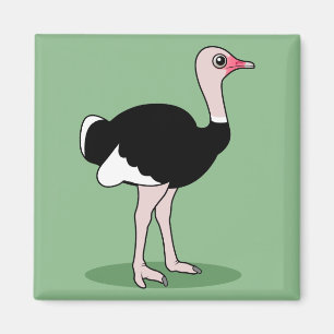 Cartoon Ostrich Magnet
