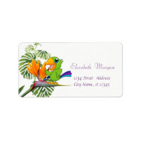 Cartoon Parrot, Caudata, Palm Leaves