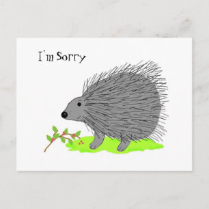 Cartoon Porcupine - I'm Sorry Postcard