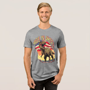 Cartoon T-Rex Patriotic T-Shirt Tri-Blend Shirt