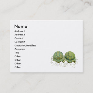 Cartoon Turtles Business Card