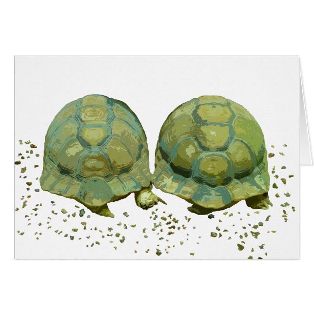 Cartoon Turtles Card (Front Horizontal)