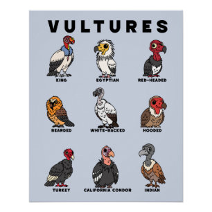 Cartoon Vultures of the Worlds Poster