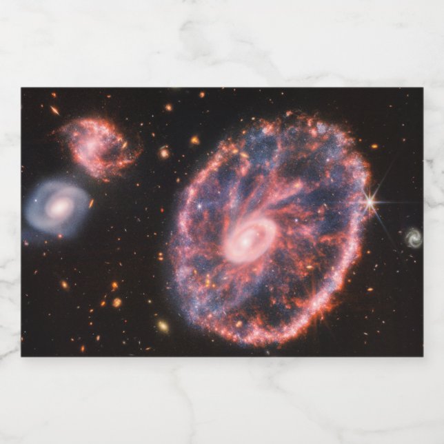 Cartwheel Galaxy, James Webb Space Telescope Sparkling Wine Label (Single Label)