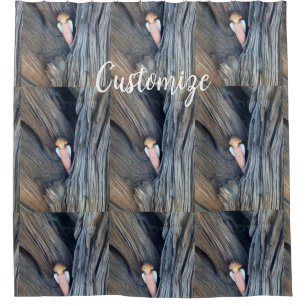 Carved angel in tree Thunder Cove Shower Curtain