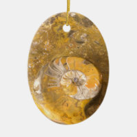Carved Bowl Made of Fossils in Rock Closeup Photo