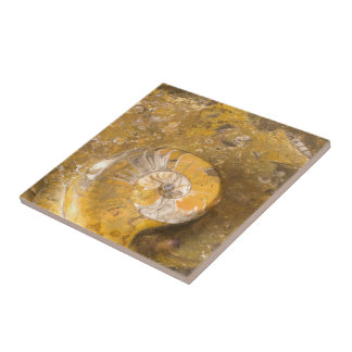 Carved Bowl Made of Fossils in Rock Closeup Photo Ceramic Tile