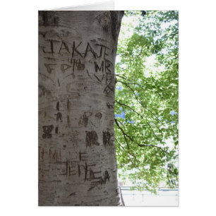 Carved in a Tree Central Park Nature Photography