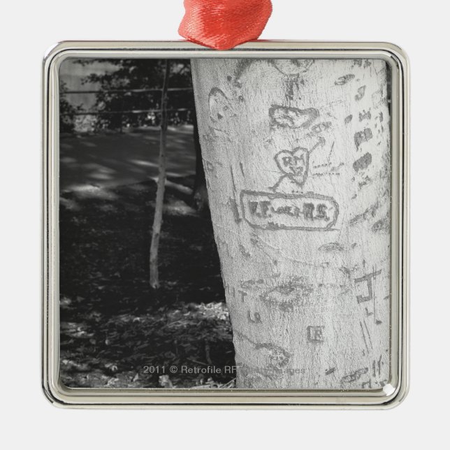 Carving on birch tree trunk B&W Metal Ornament (Front)