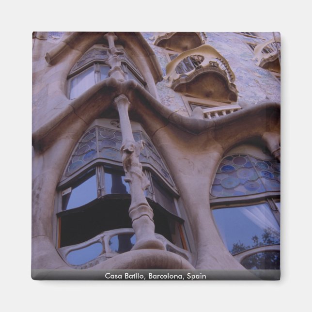 Casa Batllo, Barcelona, Spain Magnet (Front)
