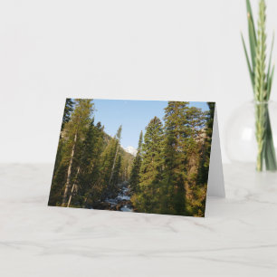 Cascade Creek at Grand Teton Card