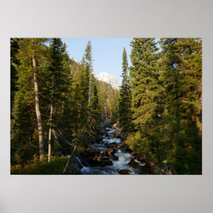 Cascade Creek at Grand Teton Poster
