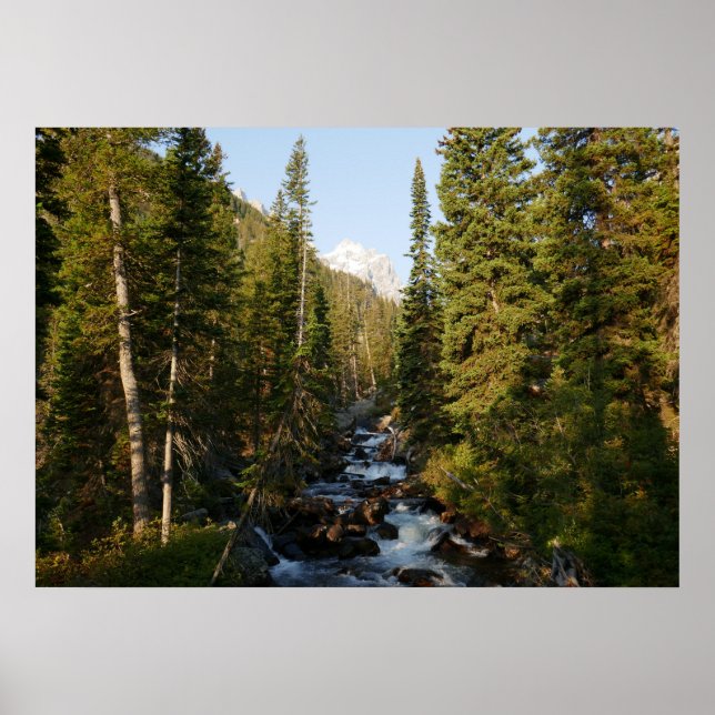 Cascade Creek at Grand Teton Poster (Front)