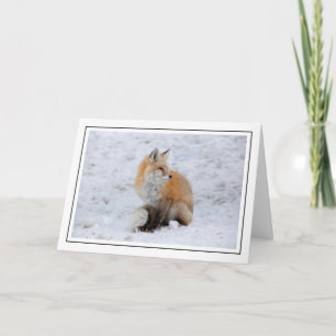Cascade Fox in Snow Holiday Card