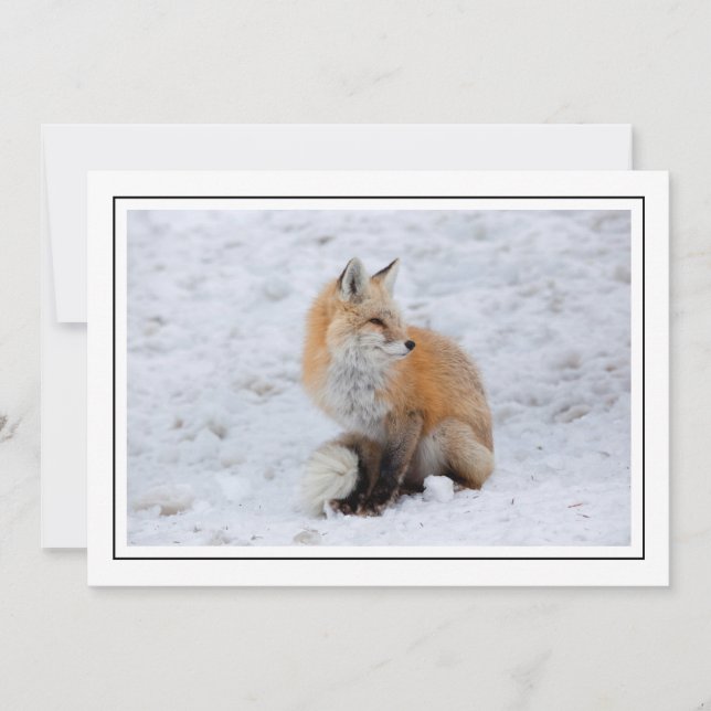 Cascade Fox in Snow Holiday Card (Front)