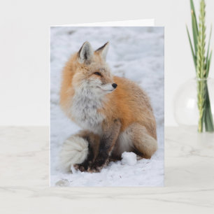 Cascade Fox in Snow Holiday Card