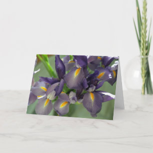 Cascade Iris Photo Greeting Card