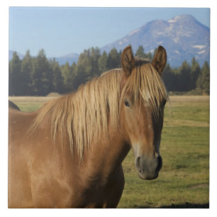 Cascade Range Chestnut Horse Ceramic Tile