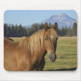 Cascade Range   Chestnut Horse Mouse Pad
