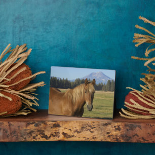 Cascade Range   Chestnut Horse Plaque