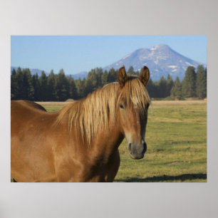 Cascade Range   Chestnut Horse Poster
