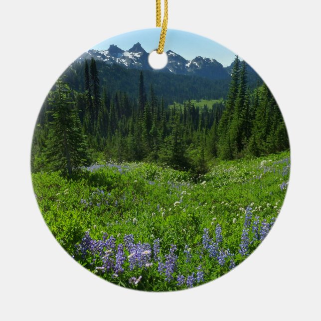 Cascade Range from Mount Rainier National Park Ceramic Ornament (Front)