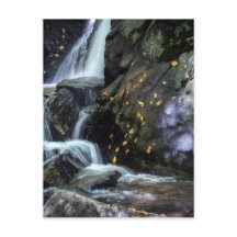 Cascading Falls