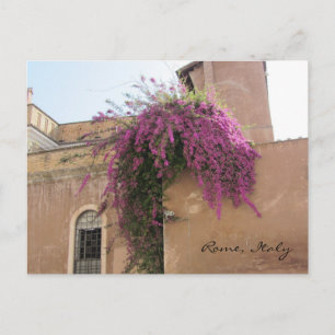 Cascading Flowers on an Old Building Postcard
