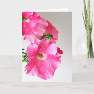 Cascading Pink Petunias Card
