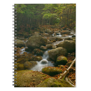 Cascading Stream Spiral Notebook