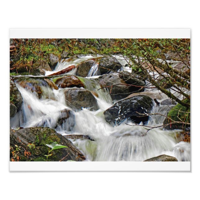 Cascading Waters1 Photo Print (Front)