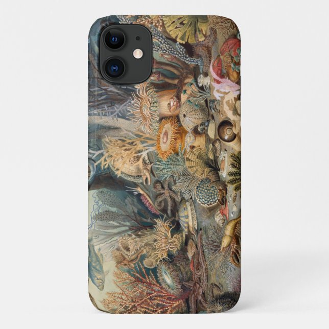 Case-Mate Barely There Apple iPhone 11 Case (Back)