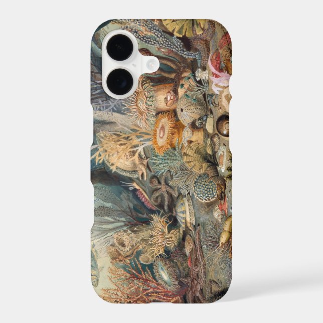 Case-Mate Barely There Apple iPhone 11 Case (Back)