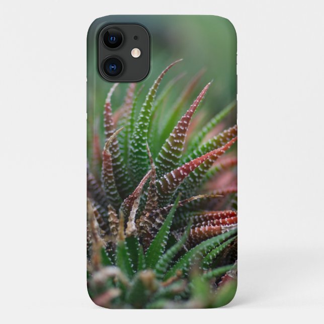 Case-Mate Barely There Apple iPhone 11 Case (Back)