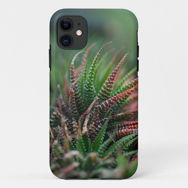 Case-Mate Tough Apple iPhone 11 Case (Back)